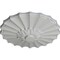 Ekena Millwork Shakuras Ceiling Medallion (Fits Canopies up to 1 3/8"), Hand-Painted Frost, 9"OD x 1 3/8"P CM09SHFRF - alternate 5